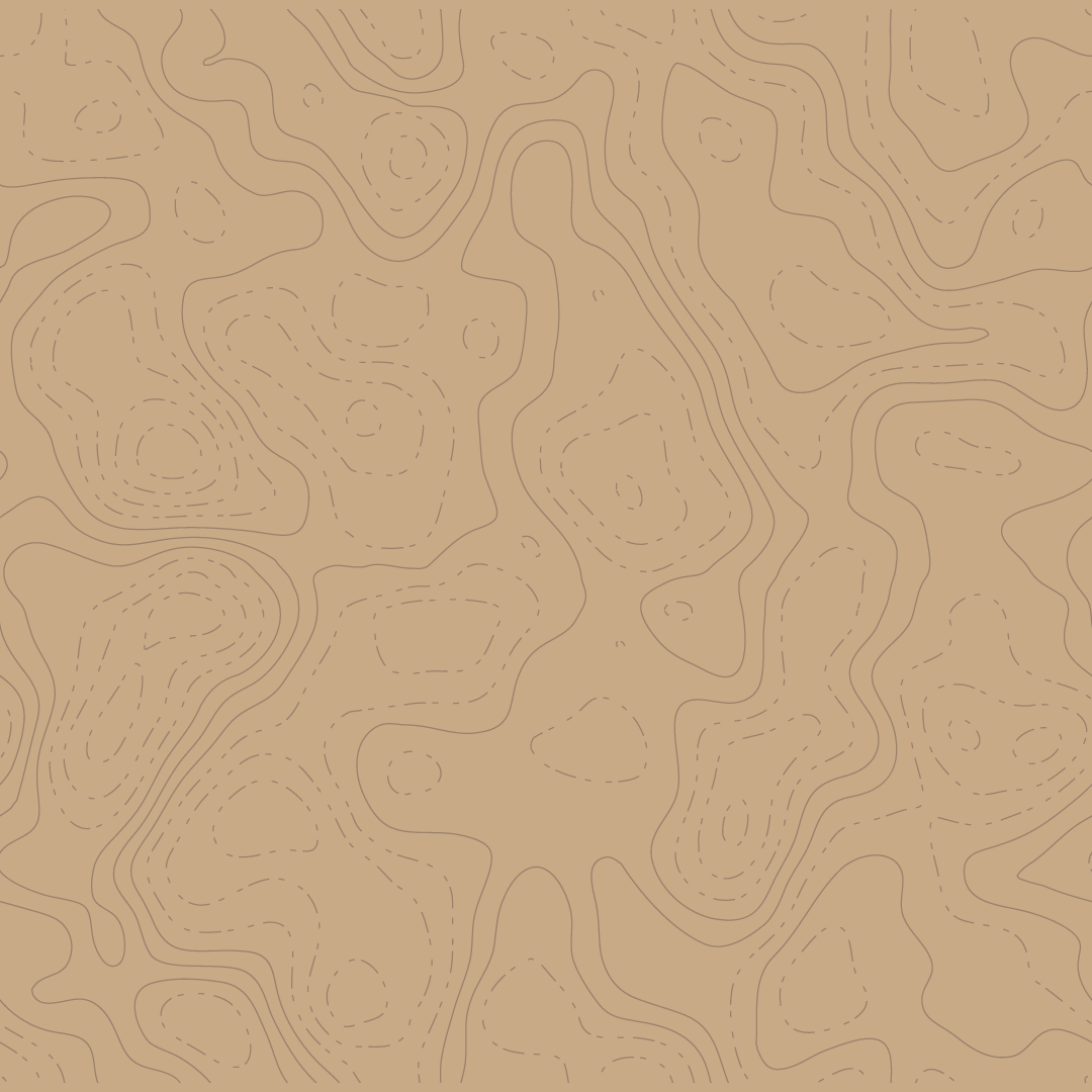 Grid Image 3