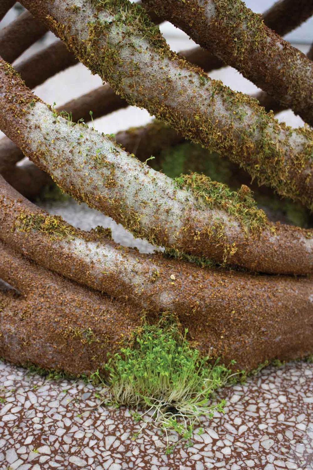 Missing alternative text