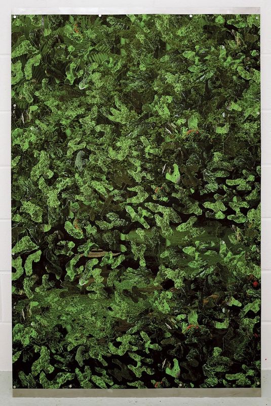 Missing alternative text