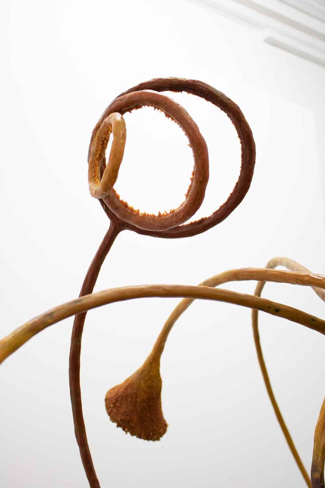 Missing alternative text