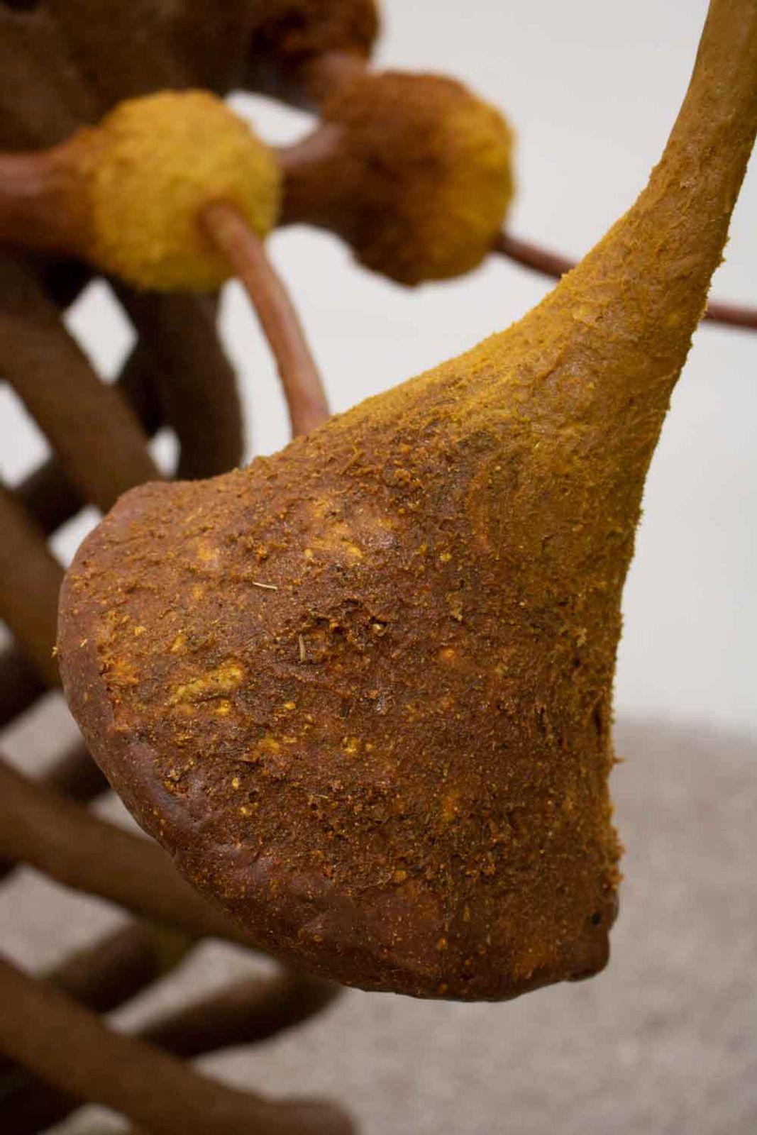 Missing alternative text