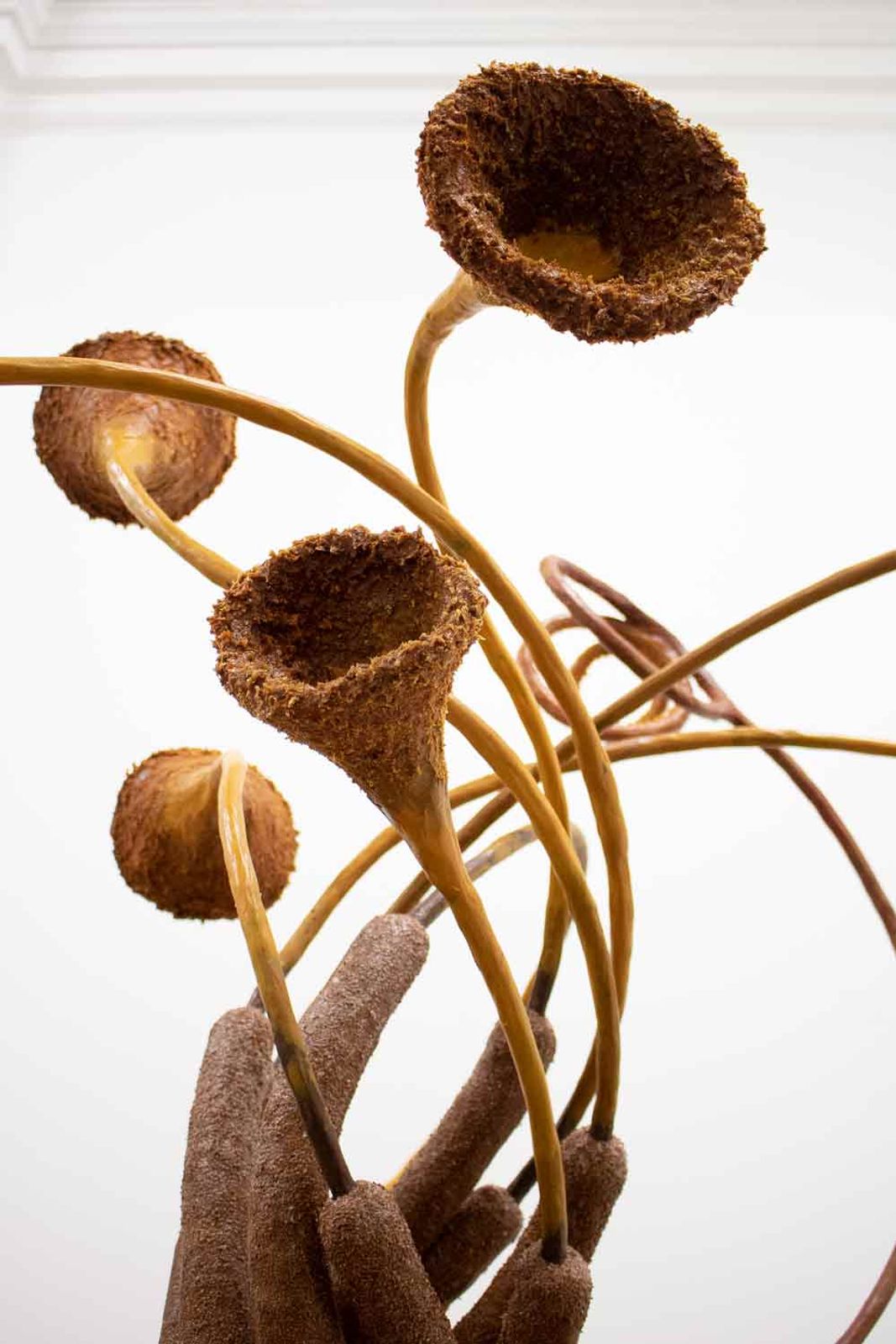 Missing alternative text