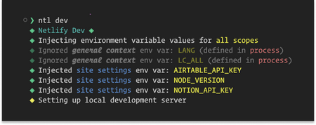 Example of Netlify CLI injecting environment variables into a local development environment
