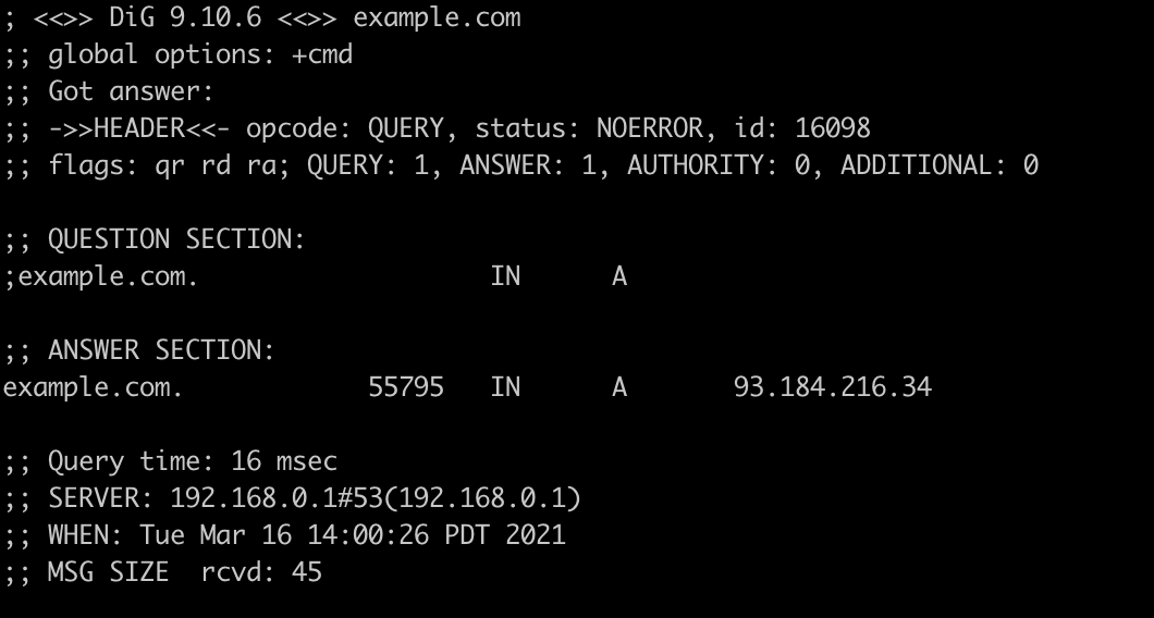 command line url dig example output