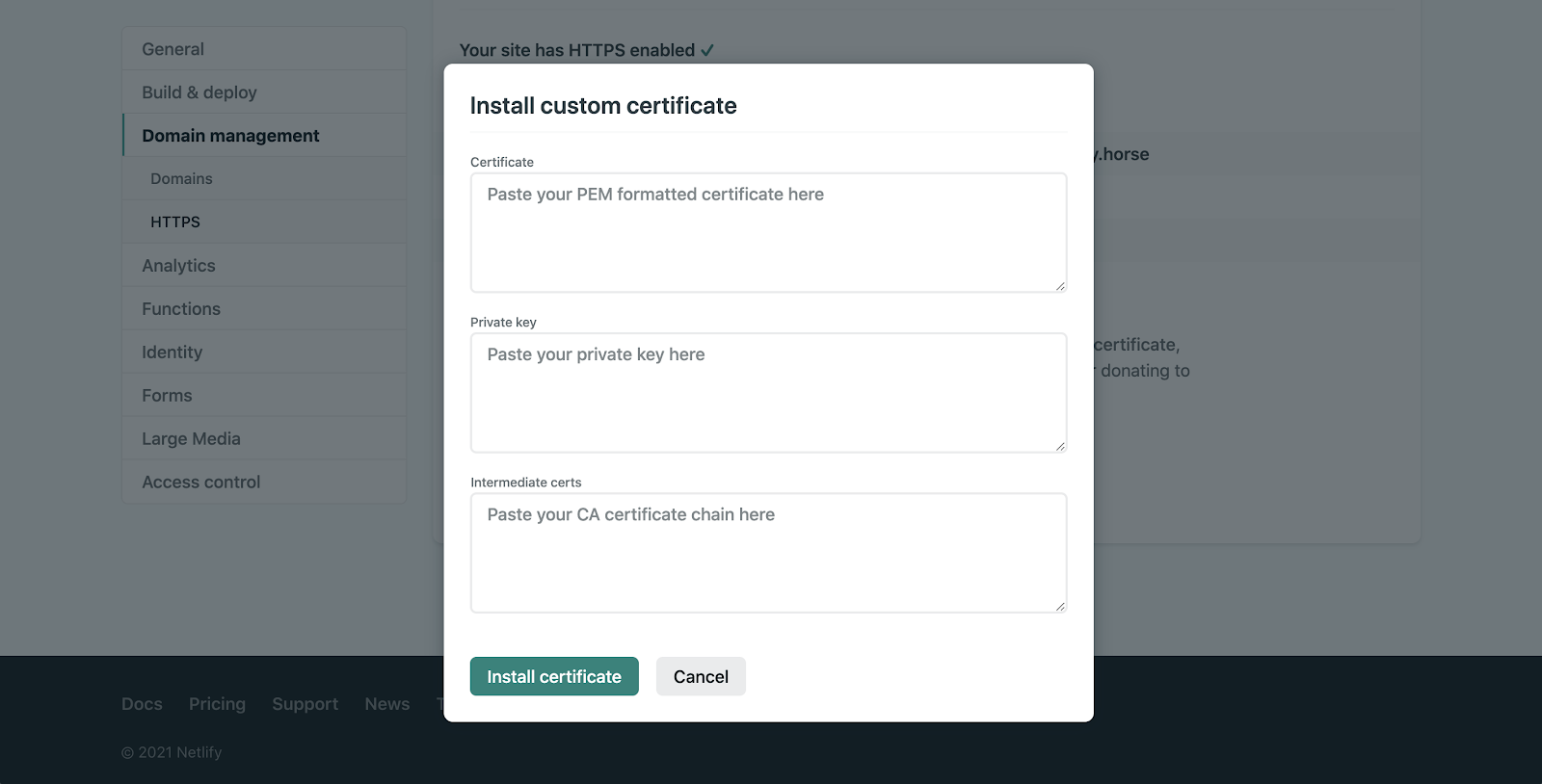 Netlify DNS install custom certificate screenshot