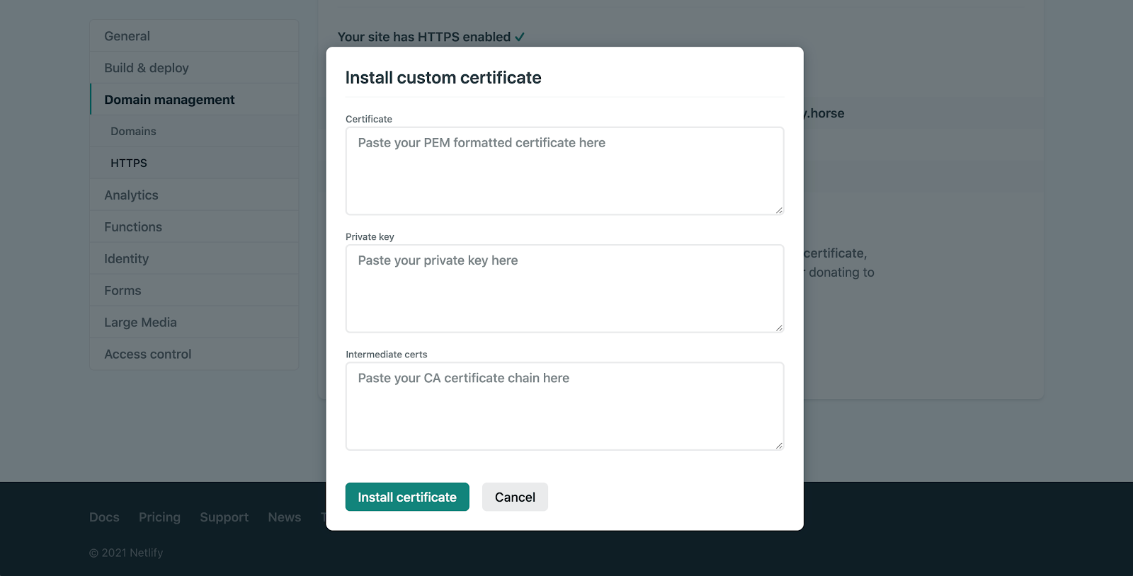 Netlify DNS install custom certificate screenshot