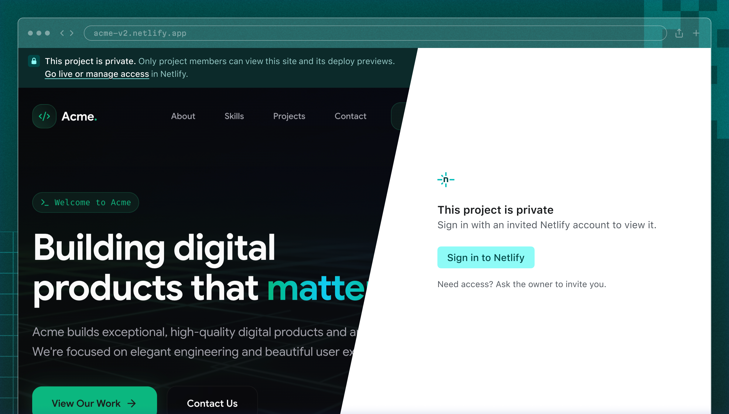 Private and Public Projects on Netlify