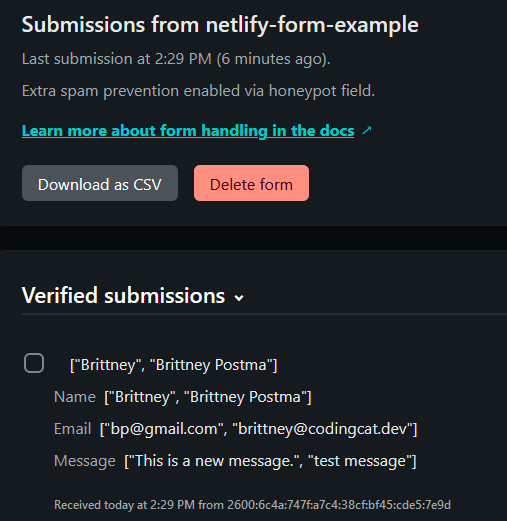 Submissions from netlify-form-example with a Verified submission listed