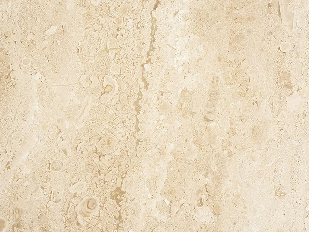 Breccia Sarda