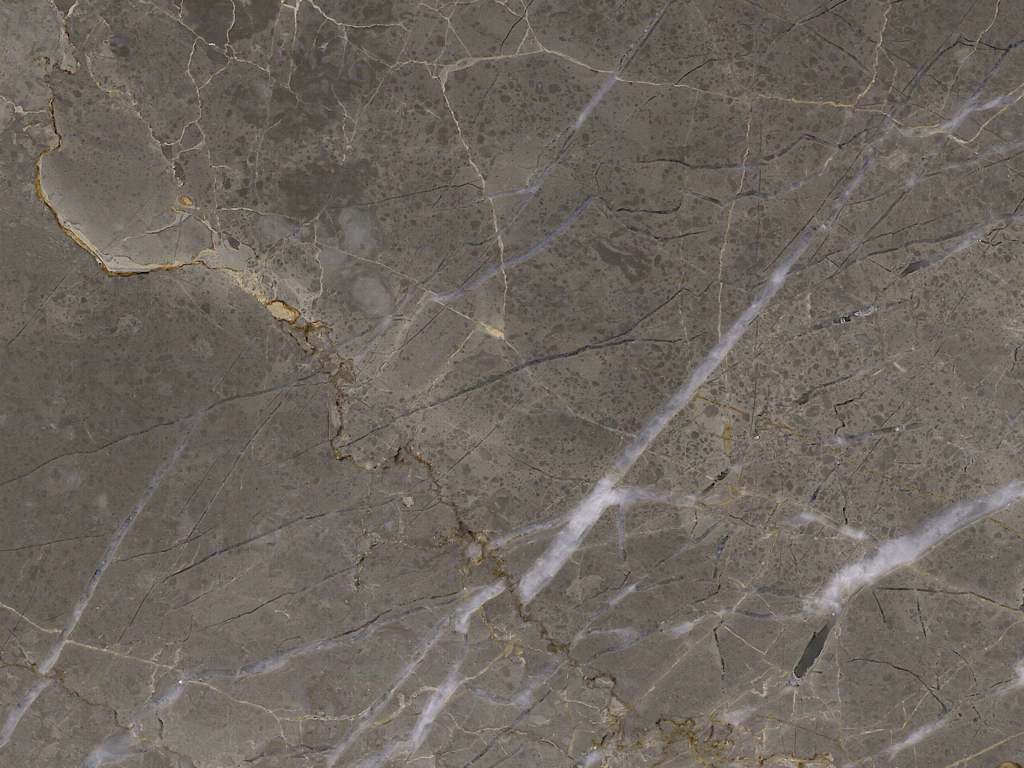 Grigio Collemandina
