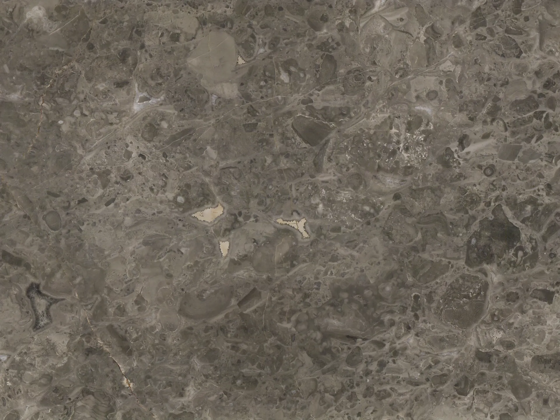 Grigio Billiemi