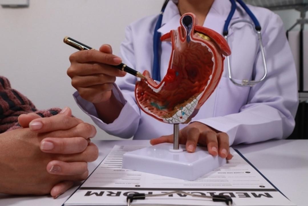 Dr showing statue of organ