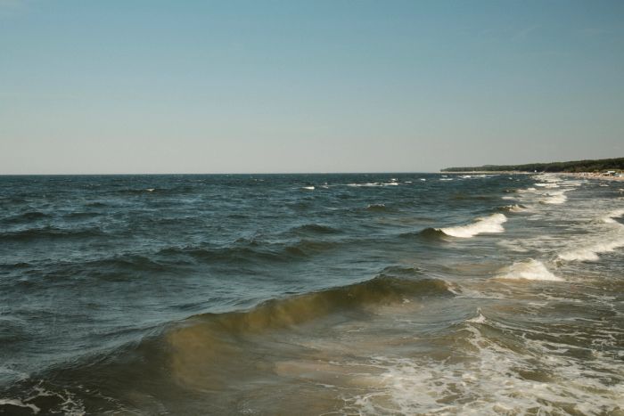 Waves