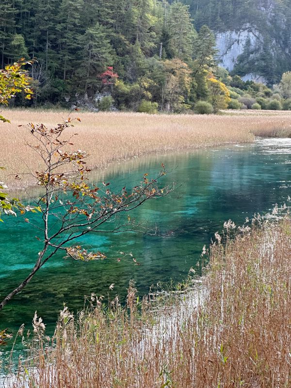 06 China in 16 Days: From Ancient Capitals to Guilin’s Landscapes