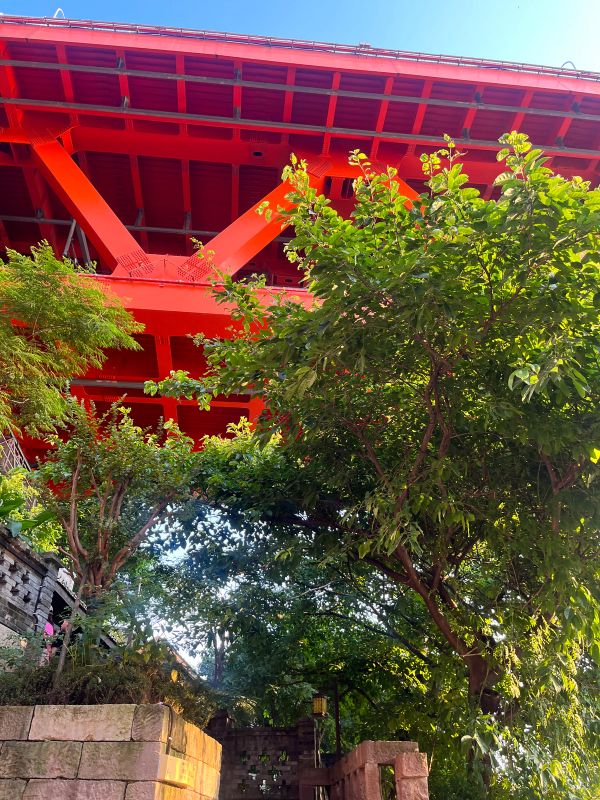 02 China in 14 Days: Journey to the Avatar Mountains