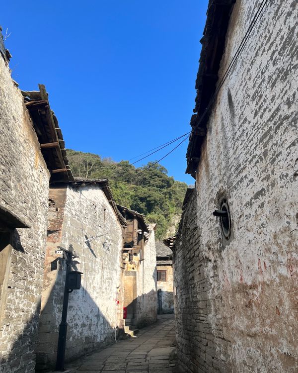 08 China in 21 Days: Kung Fu, Pandas & Ancient Water Towns