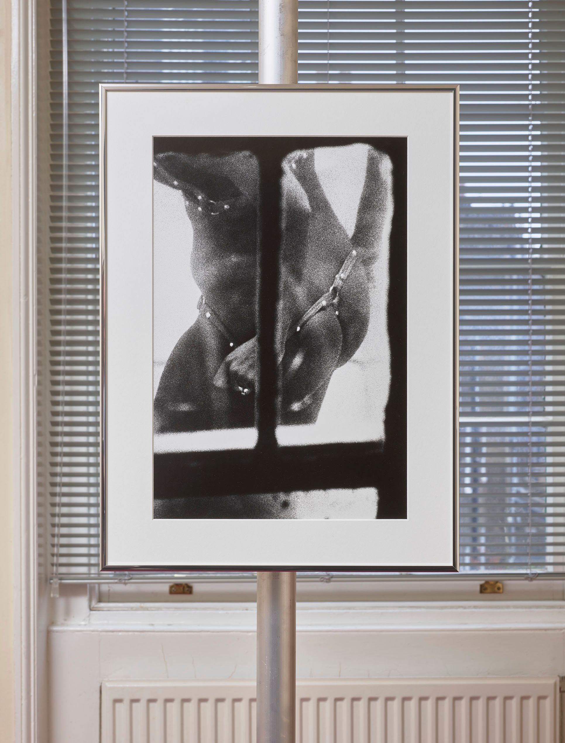 Dirty Windows by Merry Alpern
Exhibition | Magma Journal