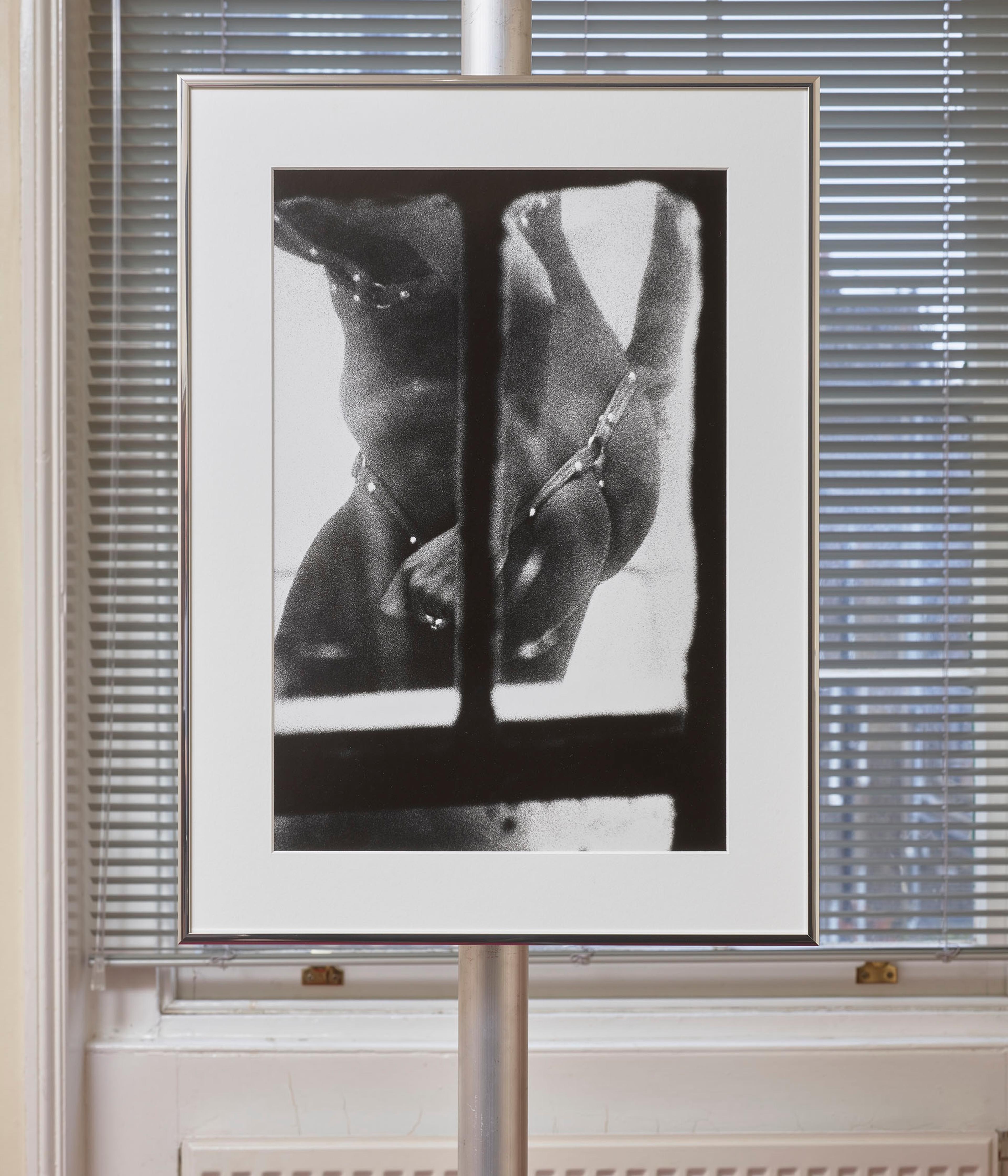 Dirty Windows by Merry Alpern
Exhibition | Magma Journal