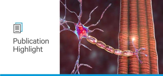 Hope for Spinal Muscular Atrophy through different research approaches
