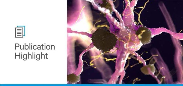 Microglial Activation and Soluble TREM2 as a Potential Biomarker of Alzheimer’s Disease