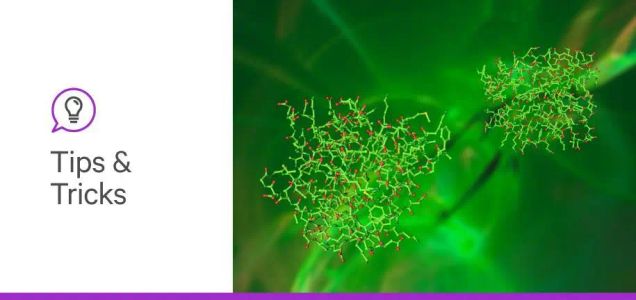 Everything We Know About Lectin Structure, Classification, and Function