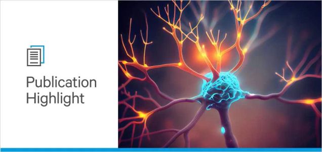 Factors that Contribute to Huntington’s Disease Pathogenesis
