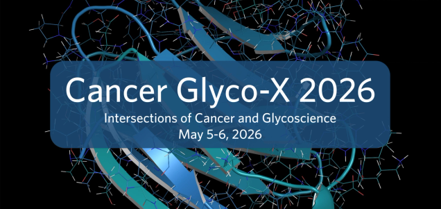 Let’s Talk Protein Glycosylation at Cancer Glyco-X