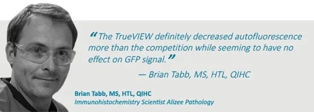 dr tabb