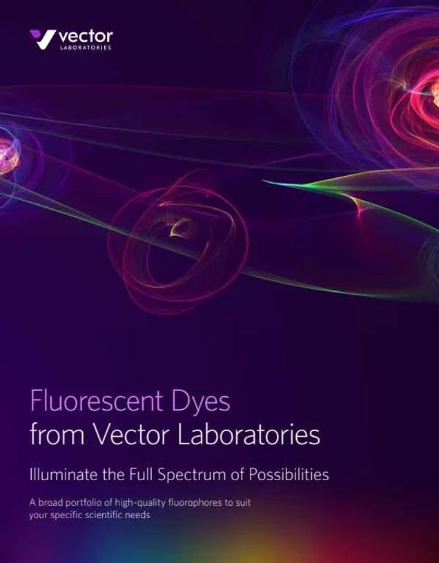 Dyes Brochure