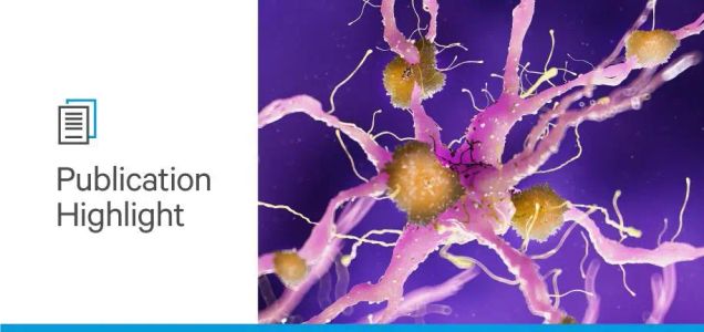 Alzheimer’s Awareness Month: What Makes Some Neurons More Vulnerable?