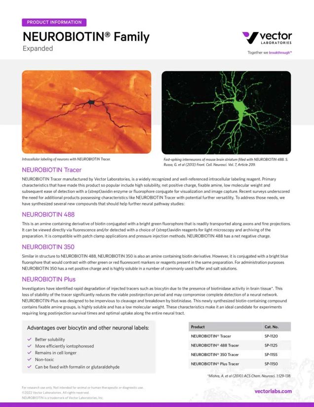 NEUROBIOTIN® Neuronal Tracing