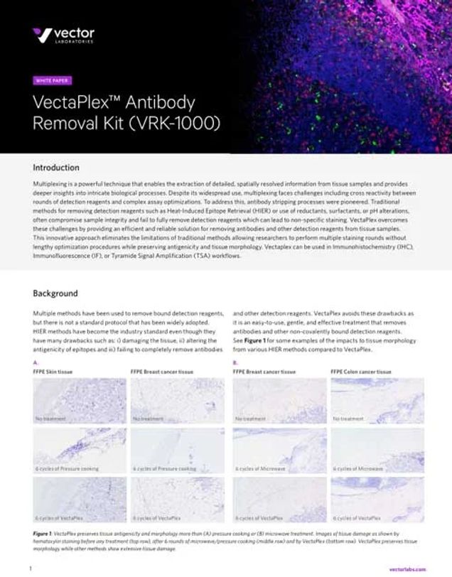 VectaPlex™ Antibody