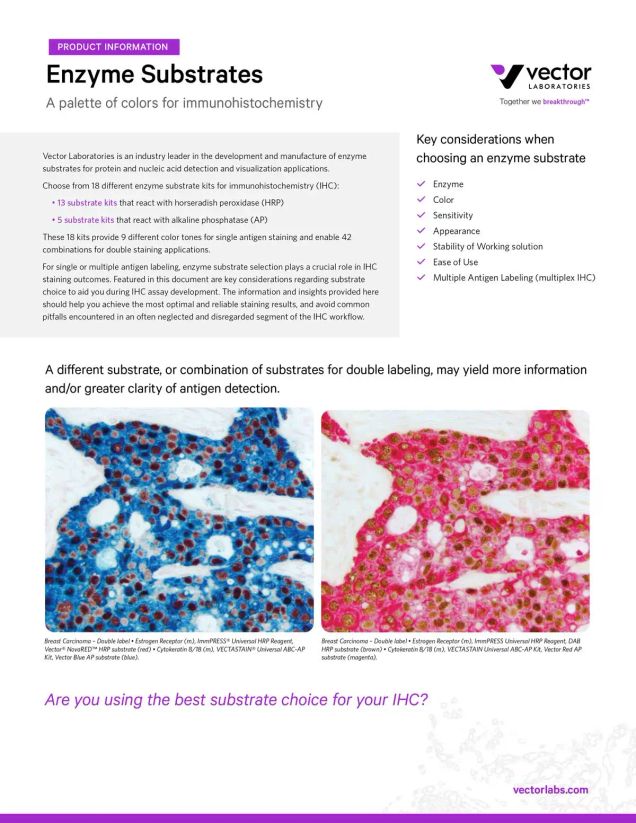 Enzyme Substrates Brochure