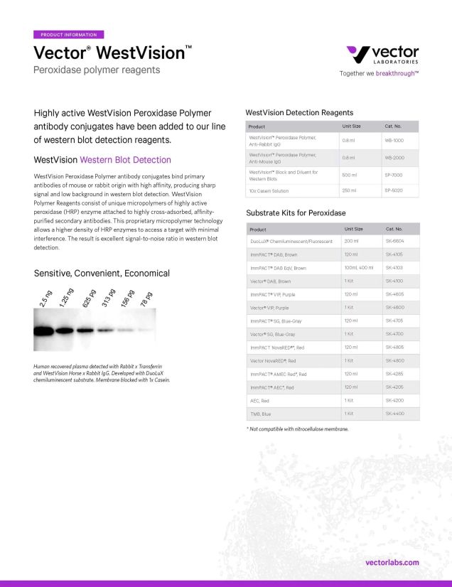 WestVision Peroxidase Polymer Reagents