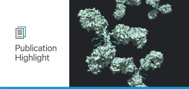 Bioconjugation reveals new therapeutic possibilities for autoimmune disorders
