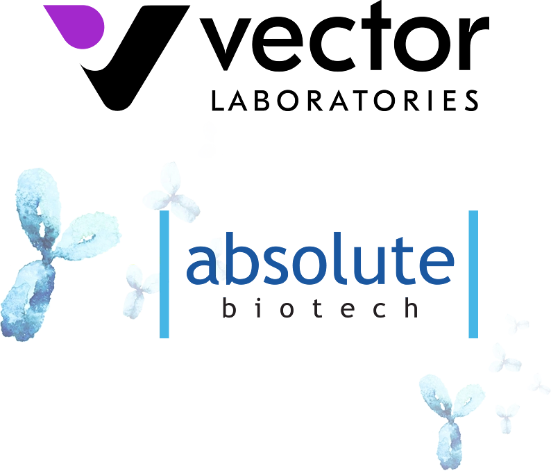Vector absolute logos