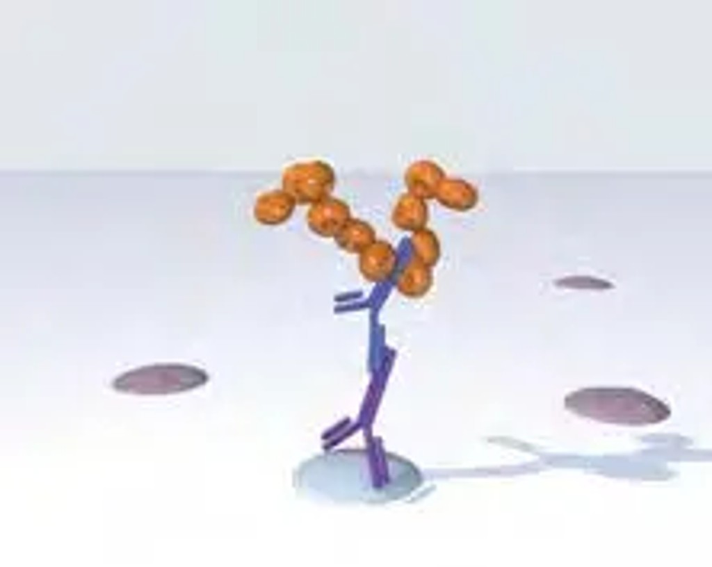 Immpress polymer kits add immpress reagent