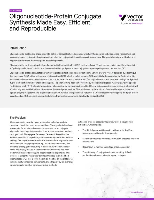 Oligonucleotide-Protein Conjugate Synthesis Made Easy, Efficient, and Reproducible