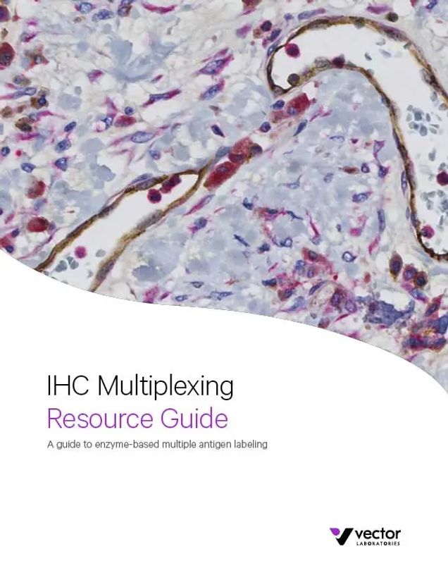 IHC Multiplexing Guide