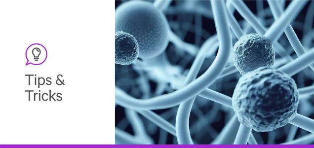 Identifying cancer biomarkers with IHC/IF