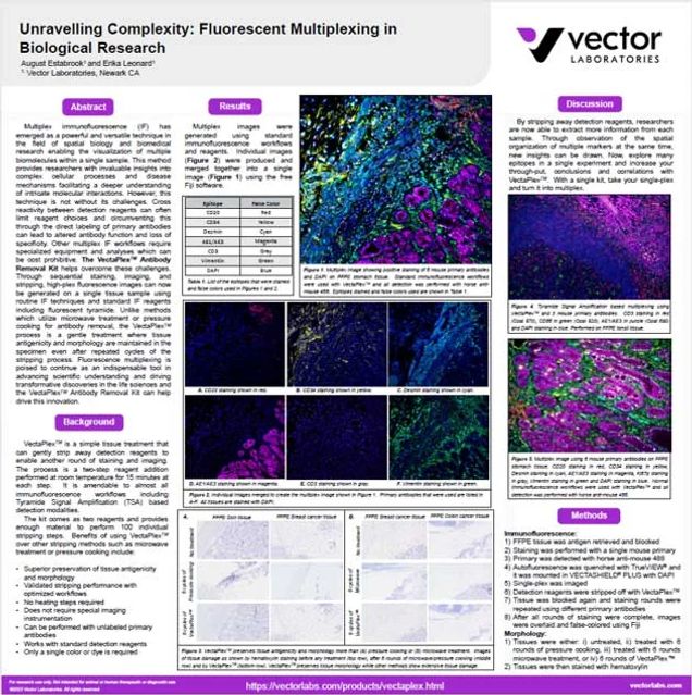 POSTER | Unravelling Complexity: Fluorescent Multiplexing in Biological Research