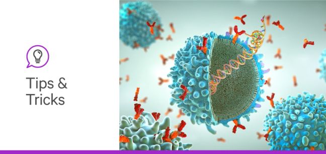 Immunotherapy and Glycans