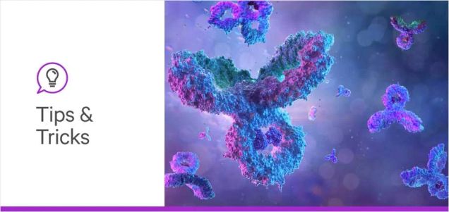 A Guide to Understanding Lectins vs Antibodies