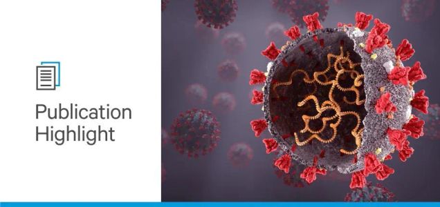 Investigating Cross-Reactive Antibodies of SARS-CoV-2 with LIBRA-seq