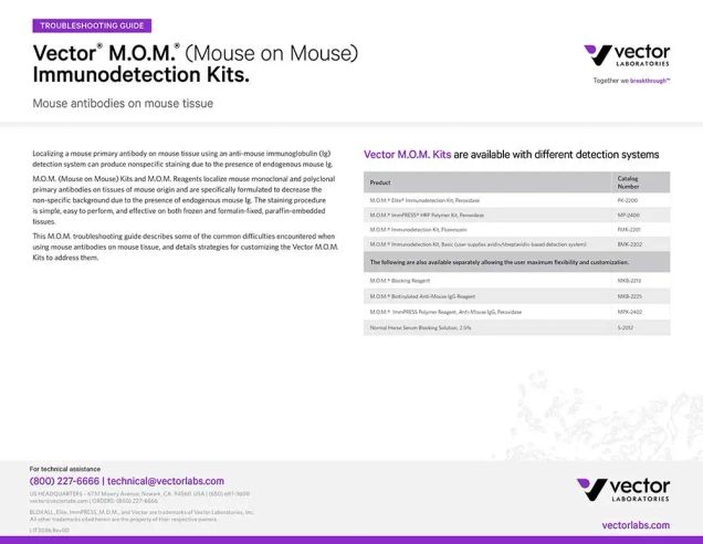 Troubleshooting Mouse Primaries on Mouse Tissue