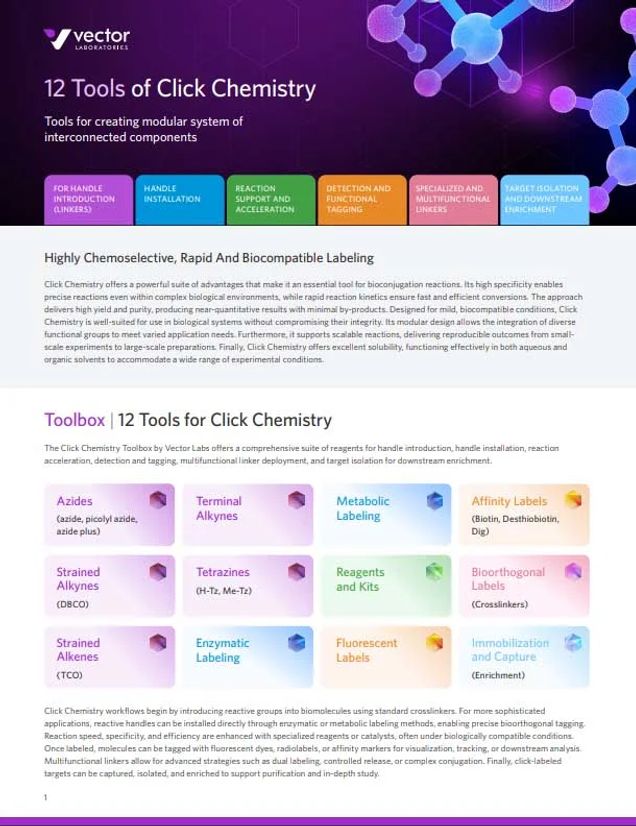 Toolbox | 12 Tools for Click Chemistry