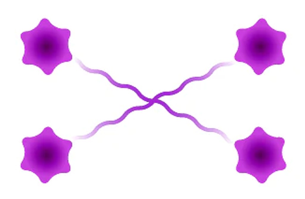 tetramer
