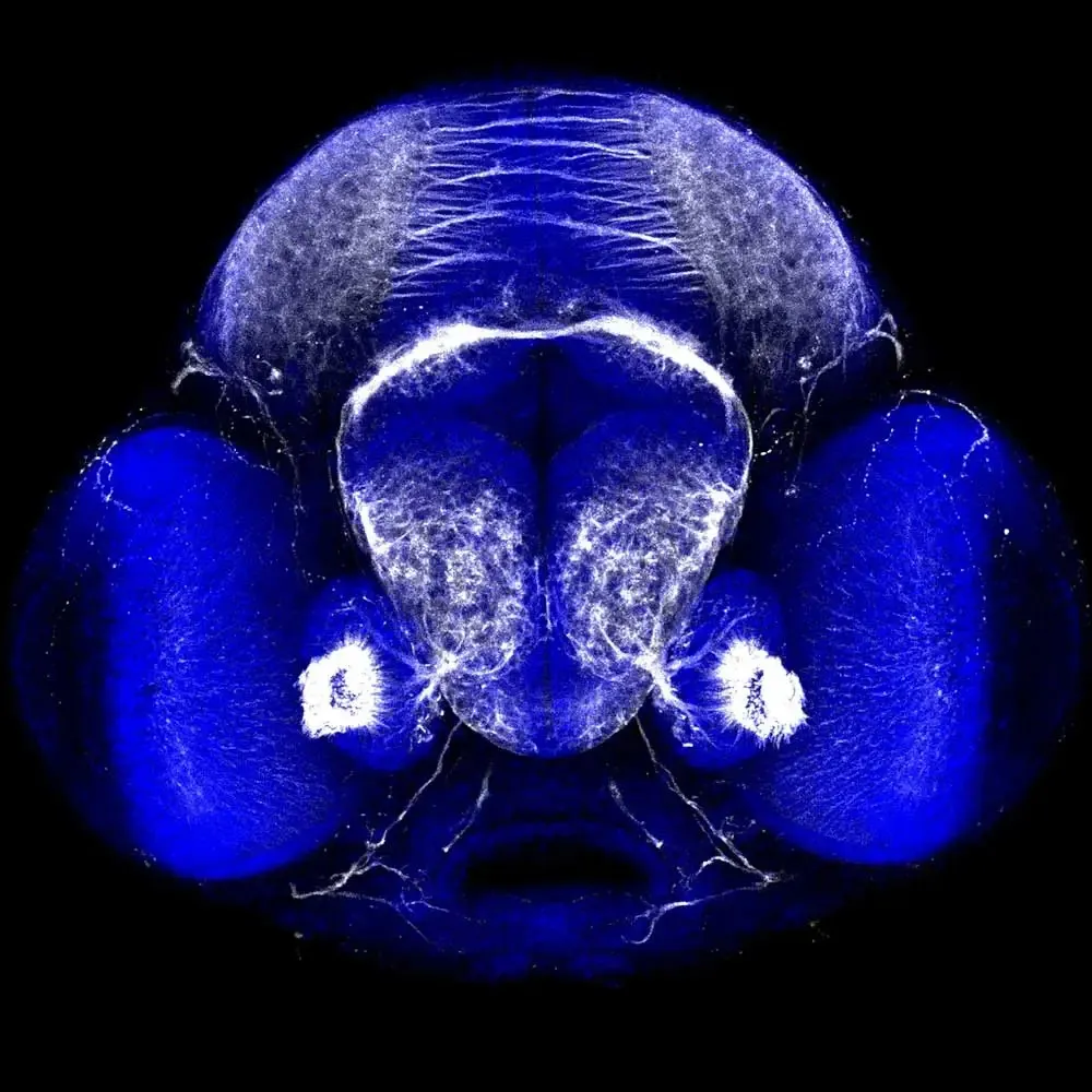 NathinMartin VectorImageSubmission2022 2 NathinMartin VectorImageSubmission2022 2