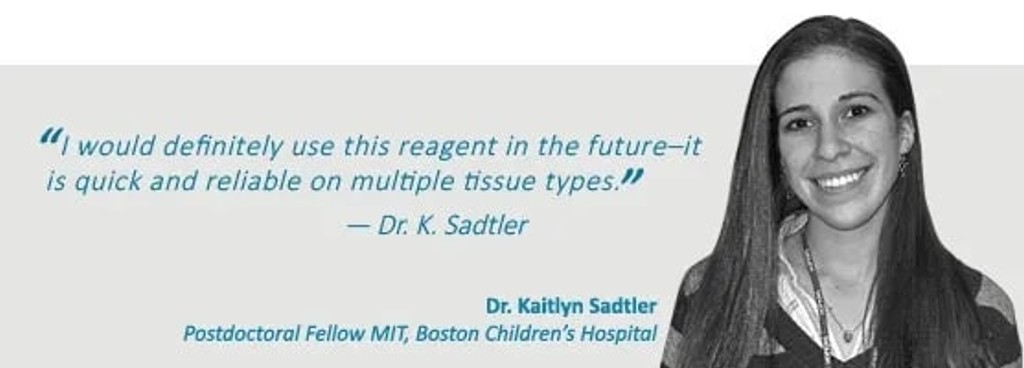 dr sadtler