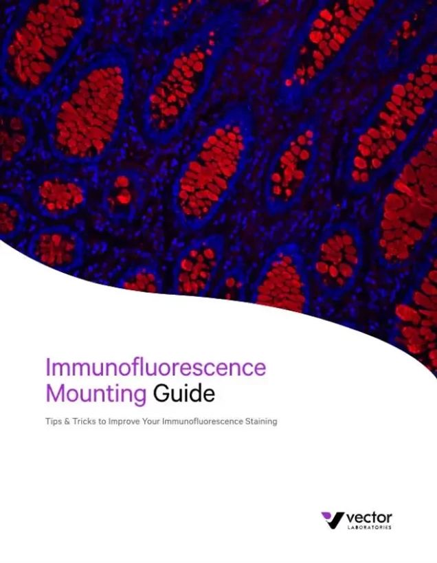 Immunofluorescent Mounting Guide